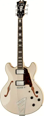 DAngelico Premier DC Champagne