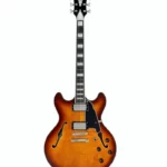 DAngelico Premier DC Dark Iced Tea Burst (Guitare électrique) / Avis, Test