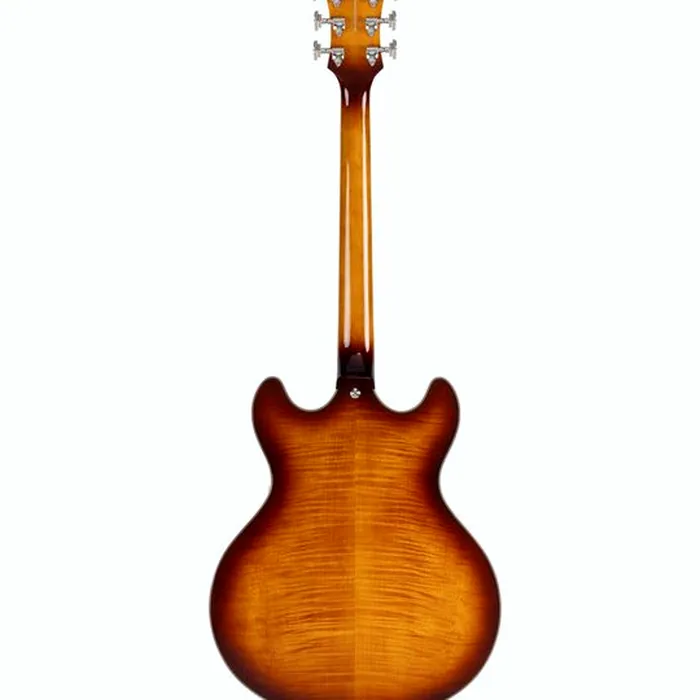 DAngelico Premier DC Dark Iced Tea Burst – photo 4