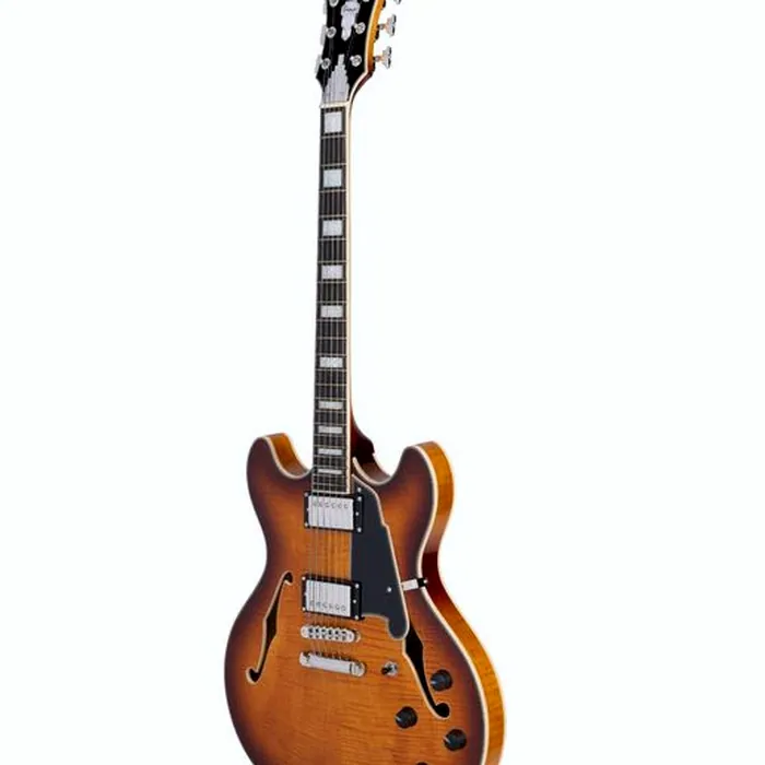DAngelico Premier DC Dark Iced Tea Burst – photo 5