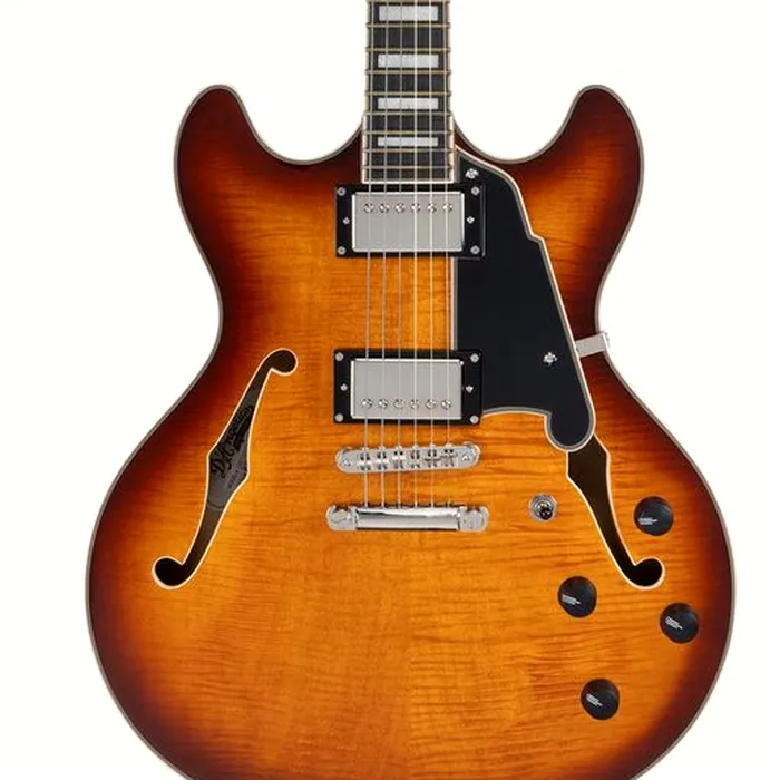 DAngelico Premier DC Dark Iced Tea Burst – photo 6