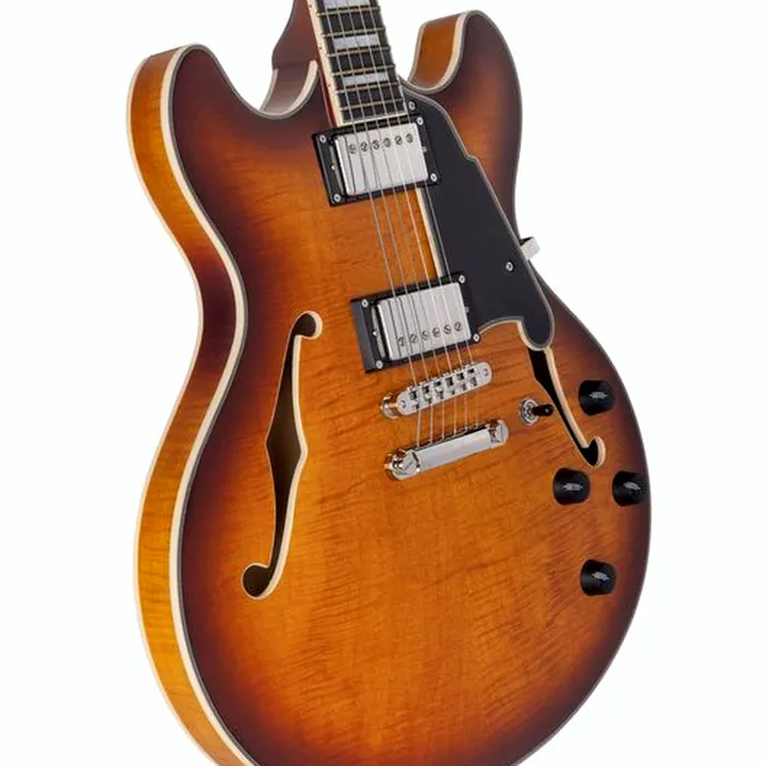 DAngelico Premier DC Dark Iced Tea Burst – photo 7