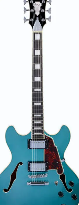 DAngelico Premier DC OC Stopbar