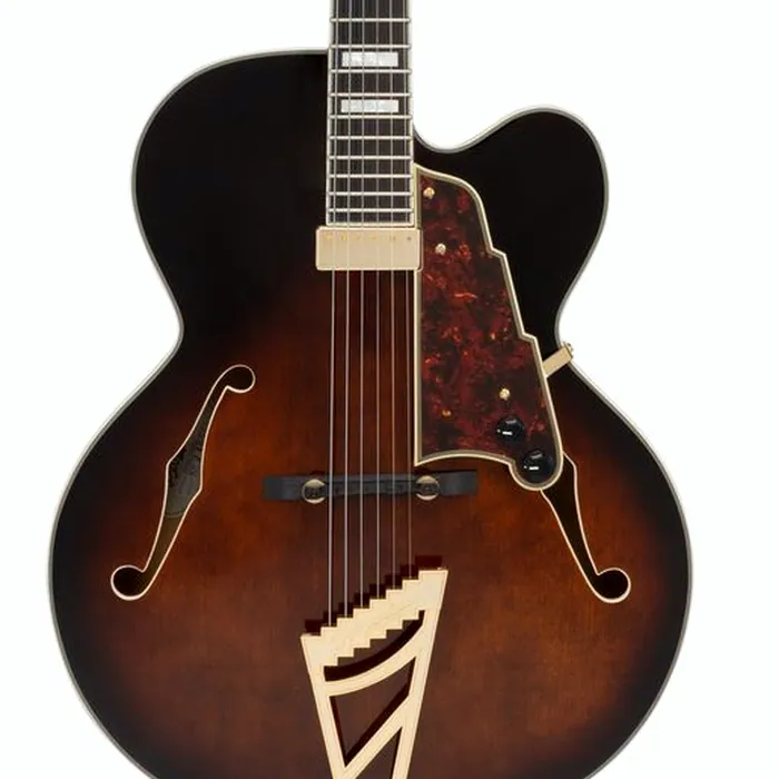 DAngelico Premier EXL1 Brown Burst – photo 5