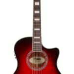 Guitare acoustique DAngelico Premier Gramercy Black Cherry | Test, Avis & Comparatif