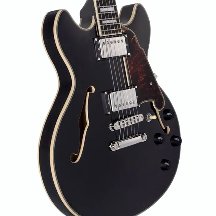 DAngelico Premier Mini DC Black Flake – photo 6