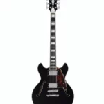 DAngelico Premier Mini DC Black Flake – Avis sur cette guitare électrique