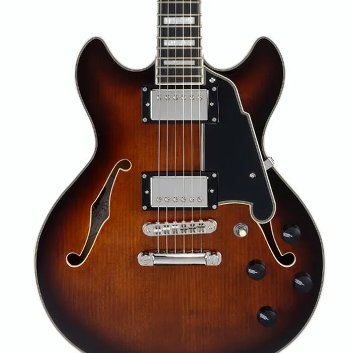 DAngelico Premier Mini DC Brown Burst – photo 6