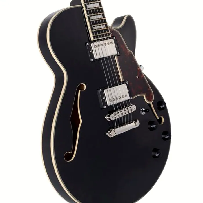 DAngelico Premier SS Black Flake V2 – photo 6