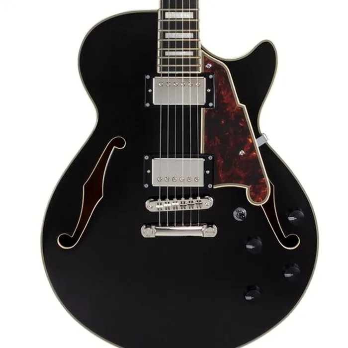 DAngelico Premier SS Black Flake V2 – photo 5