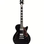 La guitare électrique DAngelico Premier SS Black Flake V2 Test, Avis
