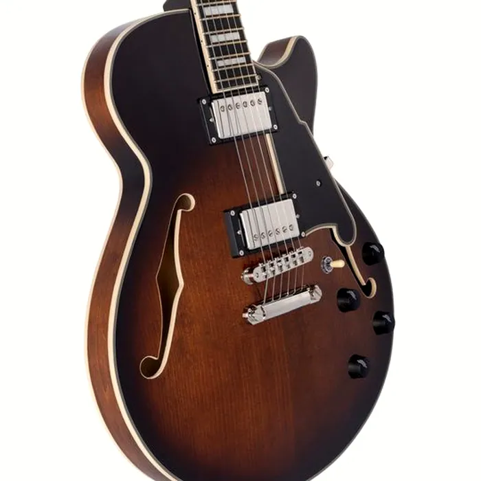 DAngelico Premier SS Brown Burst – photo 5
