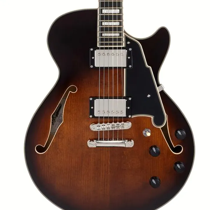 DAngelico Premier SS Brown Burst – photo 6