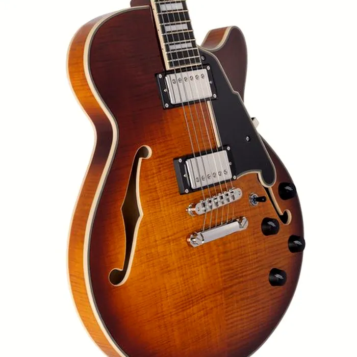 DAngelico Premier SS Dark Iced Tea Burst – photo 6