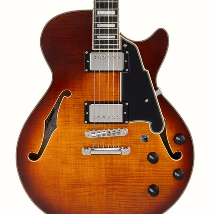 DAngelico Premier SS Dark Iced Tea Burst – photo 5