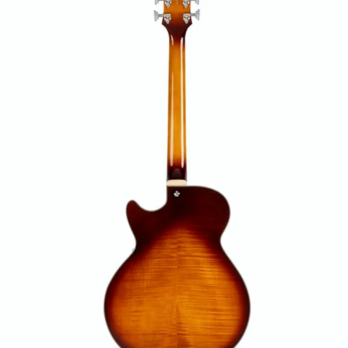 DAngelico Premier SS Dark Iced Tea Burst – photo 4