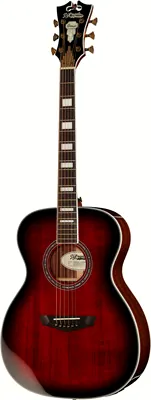 DAngelico Premier Tammany Black Cherry