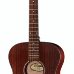 Guitare acoustique DAngelico Premier Tammany LS | Test, Avis & Comparatif