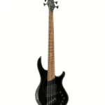 Avis basse électrique Dingwall John Taylor Sign. 5 Stealth BK