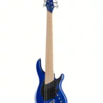 Dingwall NG3 Nolly Sig. 6 Blueberry LTD – Avis sur cette basse électrique