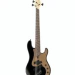 Avis basse électrique Dingwall SP1 5 Bass BK