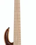 La basse électrique Elrick Gold E-volution 5 BO Walnut | Test et Avis | E.G.L