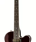 La basse électrique Epiphone Allen Woody Rumble Kat | Test et Avis | E.G.L