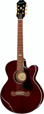 Epiphone EJ-200 Coupe WR