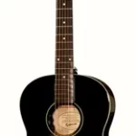 Guitare acoustique Epiphone EL-00 Pro | Test, Avis & Comparatif