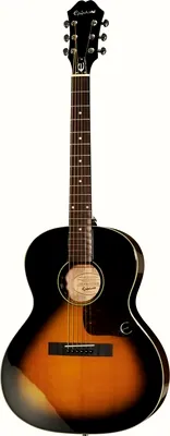 Epiphone EL-00 Pro