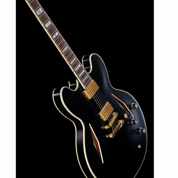 Epiphone Emily Wolfe Sheraton Stealth – photo 12