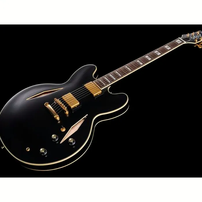 Epiphone Emily Wolfe Sheraton Stealth – photo 11