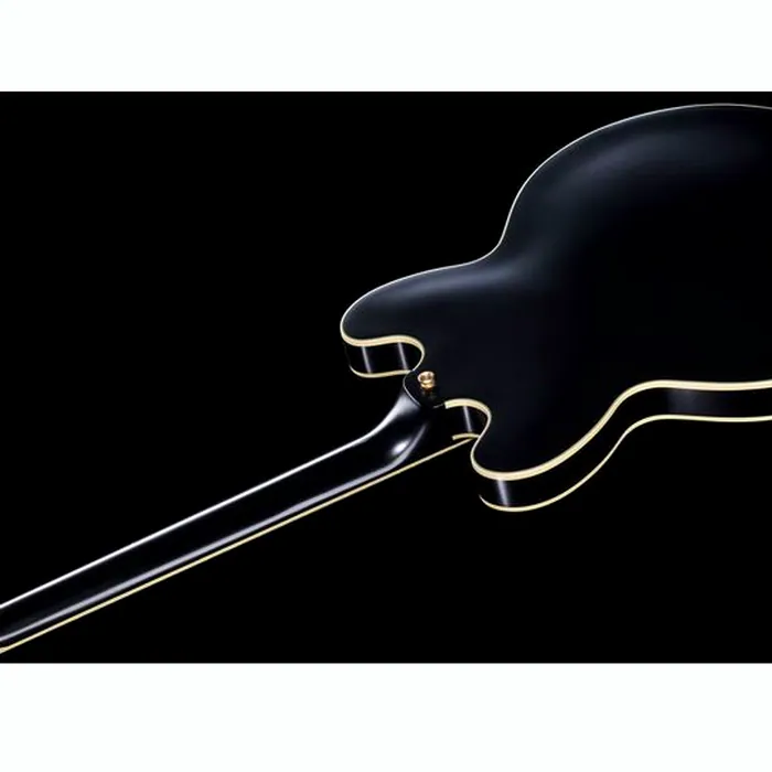 Epiphone Emily Wolfe Sheraton Stealth – photo 10