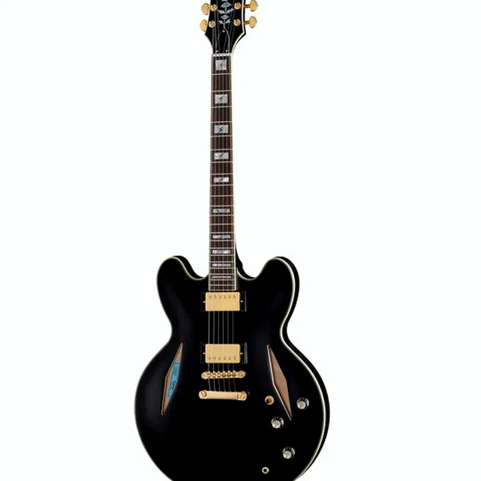 Epiphone Emily Wolfe Sheraton Stealth – photo 2