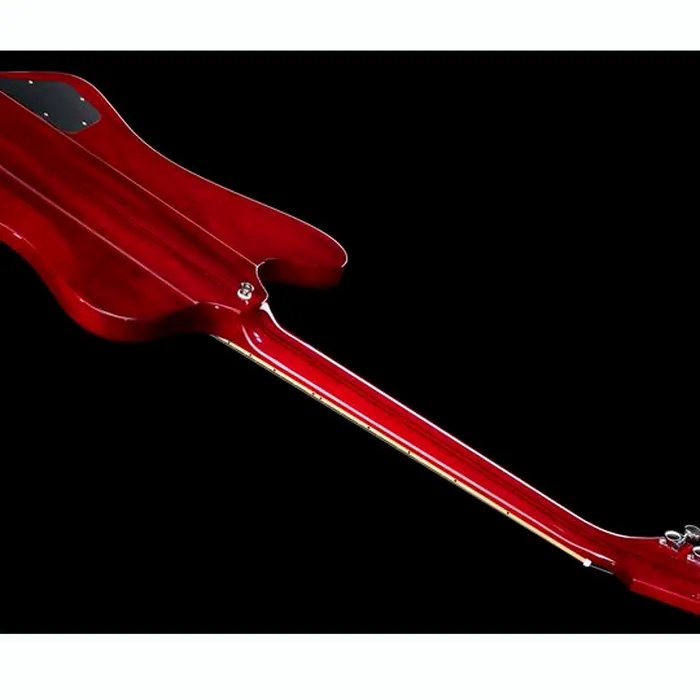 Epiphone Firebird Wine Red – photo 12