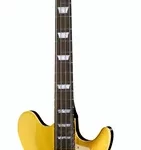 La basse électrique Epiphone Jack Casady MG | Test et Avis | E.G.L