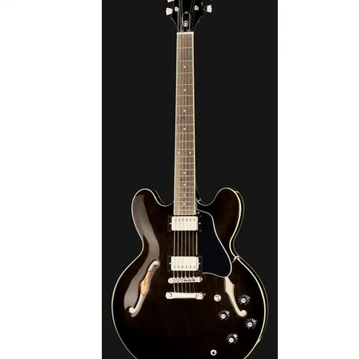 Epiphone Jim James ES-335 70s WF – photo 4