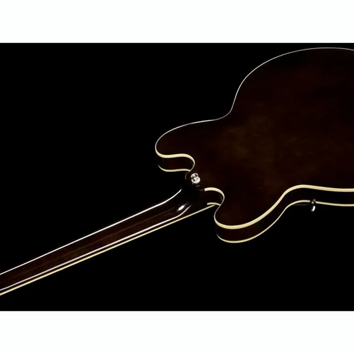 Epiphone Jim James ES-335 70s WF – photo 10