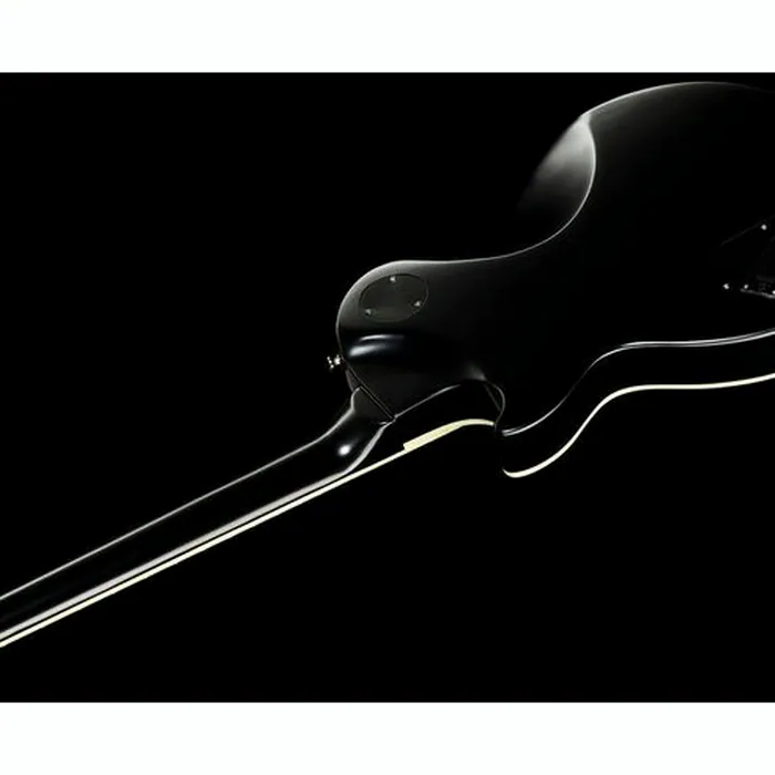 Epiphone Les Paul Prophecy Black – photo 10