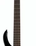 La basse électrique Epiphone Toby Deluxe-V Bass EB | Test et Avis | E.G.L