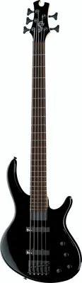 Epiphone Toby Deluxe-V Bass EB