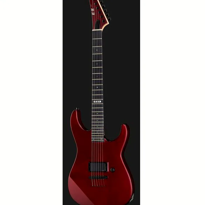 ESP E-II M-I Thru NT DCARS – photo 4