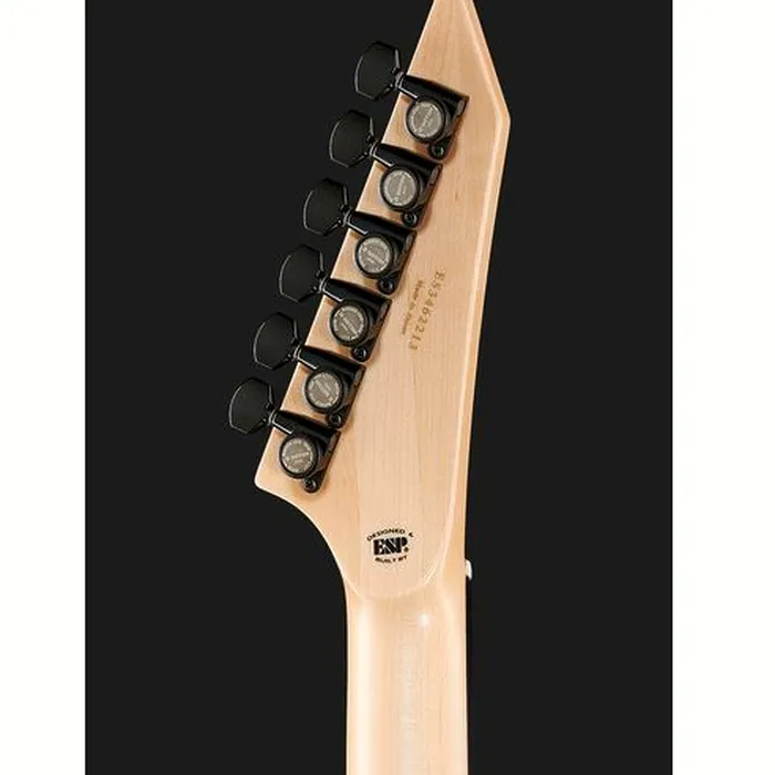 ESP E-II M-I Thru NT DCARS – photo 9