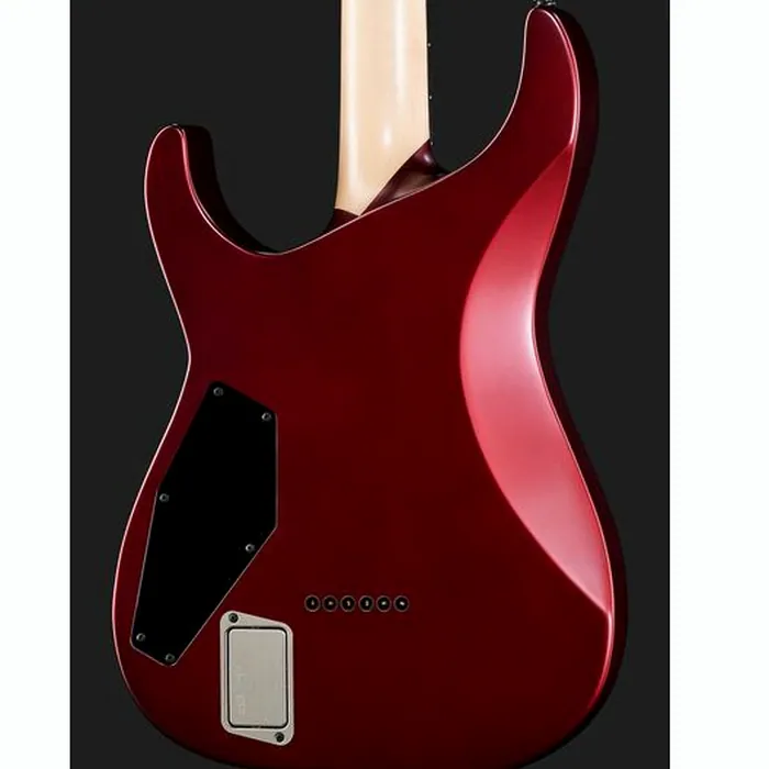 ESP E-II M-I Thru NT DCARS – photo 7