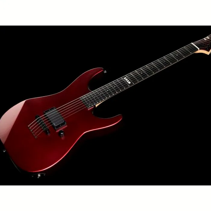 ESP E-II M-I Thru NT DCARS – photo 11