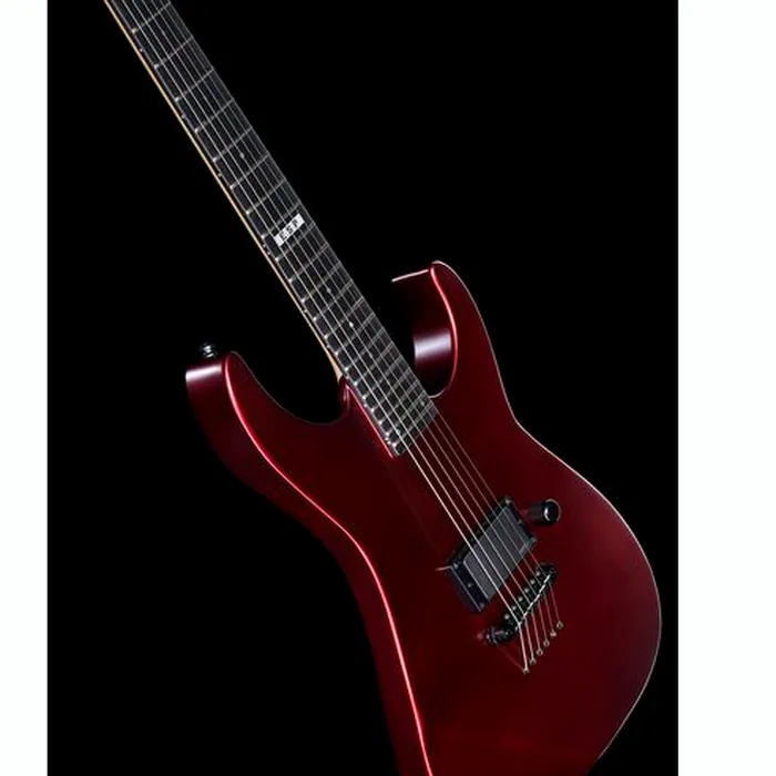 ESP E-II M-I Thru NT DCARS – photo 12