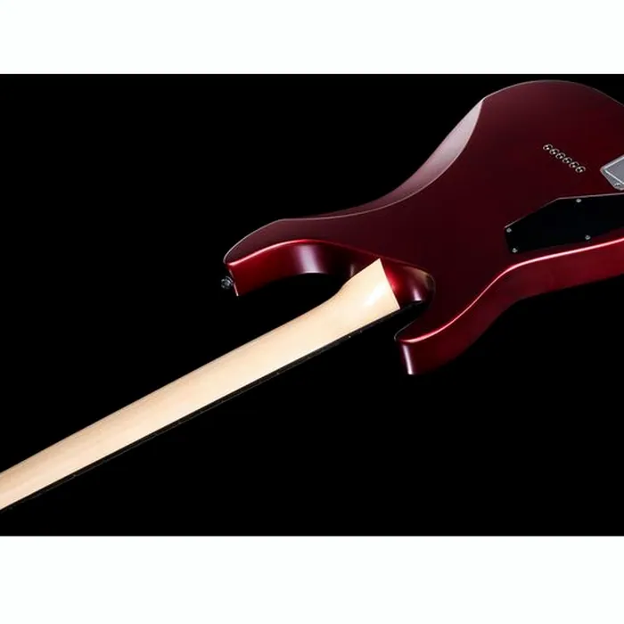 ESP E-II M-I Thru NT DCARS – photo 10