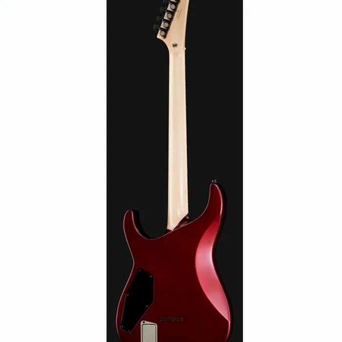 ESP E-II M-I Thru NT DCARS – photo 5
