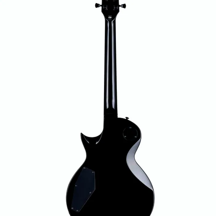 ESP EC-256 Silver Sunburst TD – photo 4