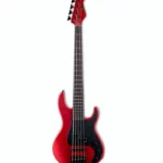 Avis sur ESP LTD AP-5 – Test basse électrique